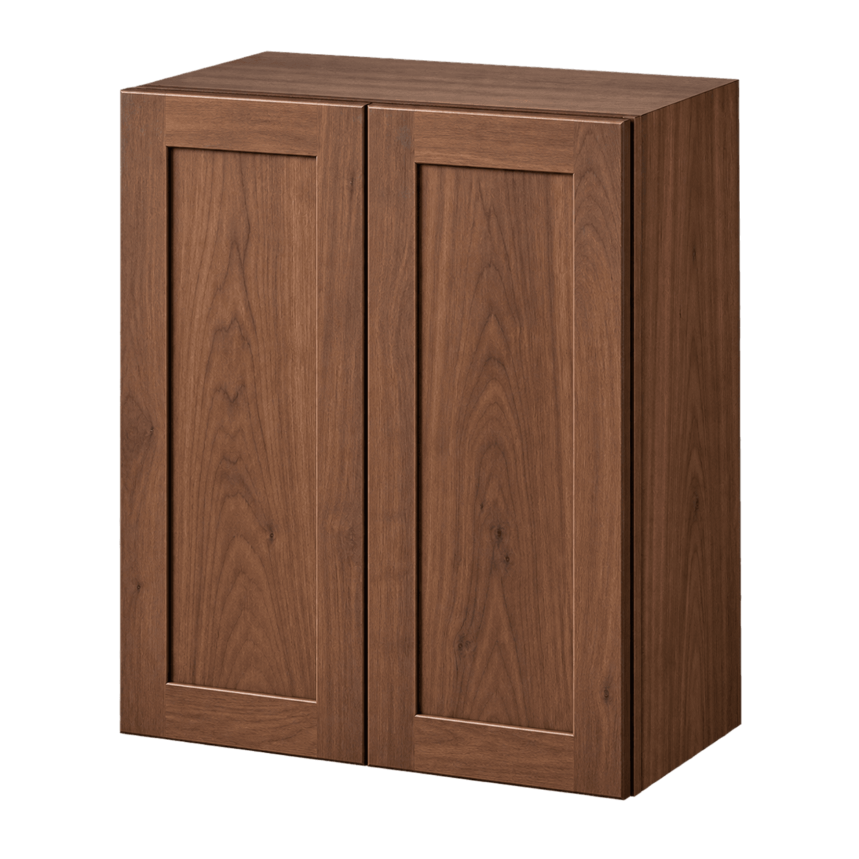 Created visualization of Hudson 24-in Wall Cabinet in Walnut